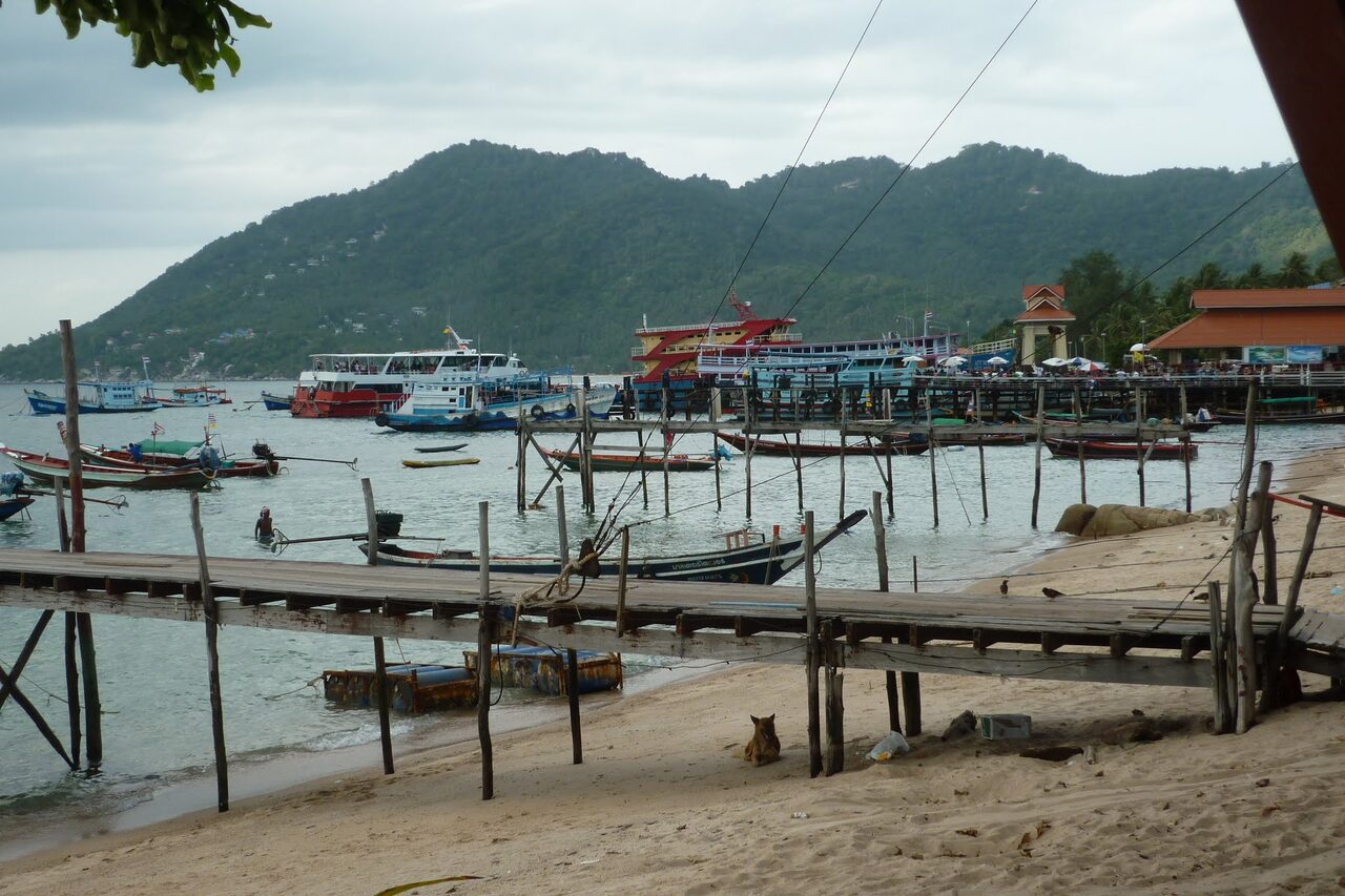 Ferries and longtail boats at Mae Haad Bay on Koh Tao, the arrival pier for cheap travel Thailand routes from Chumphon by catamaran